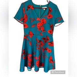 Ted Baker beautiful summer dress